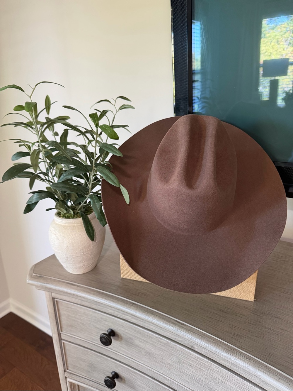 NWOT GIGI PIP Chocolate Brown Wide-Brim Felt Hat